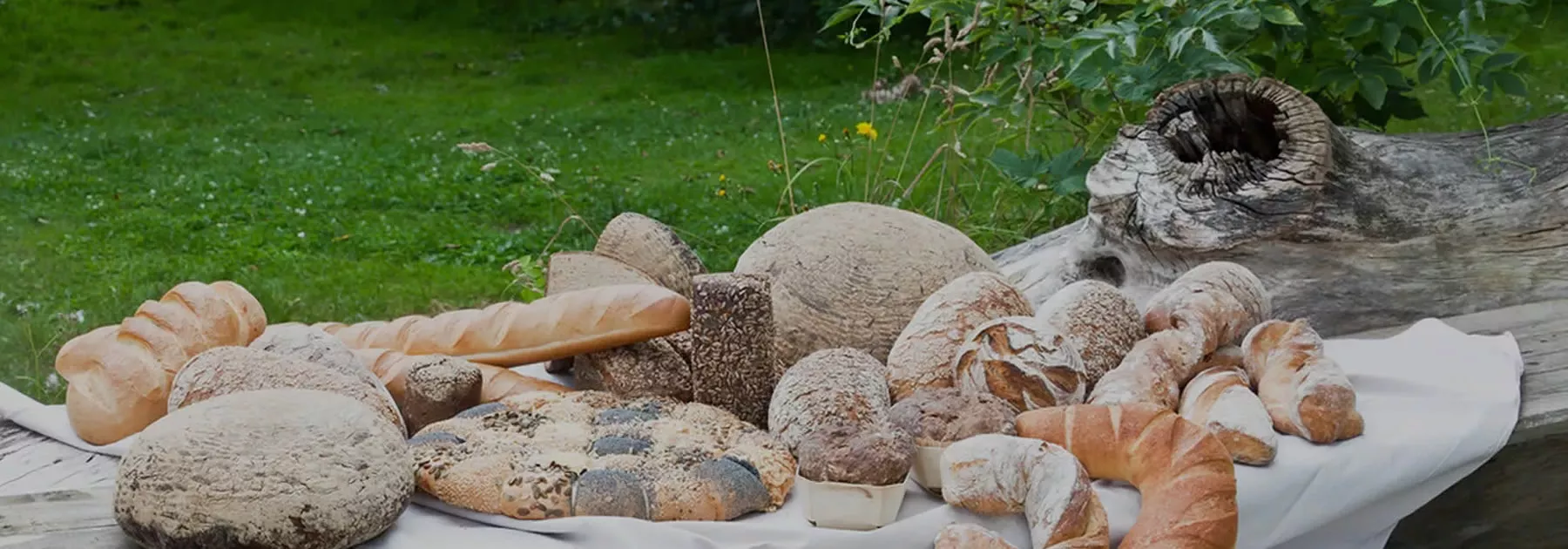 Original N�rnberger Elisenlebkuchen von der Lebk�chnerei D�ll N�rnberg